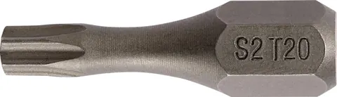 Bit P829170 lengte 25 mm