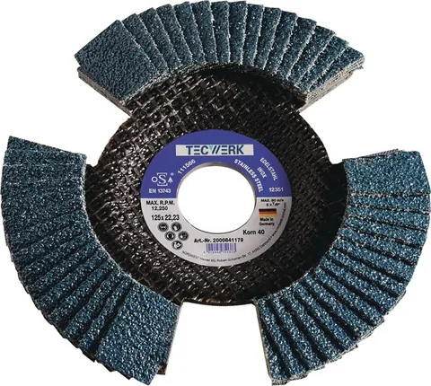 Lamellenslijpschijf Ø125 mm (art. 2000841183)