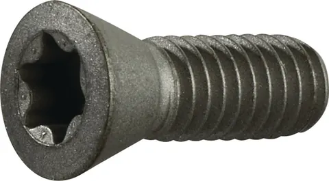 Spanschroef (art. 2000859266)