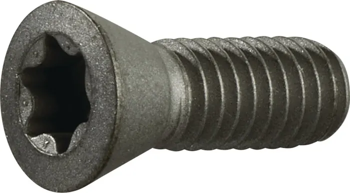 Spanschroef (art. 2000859266)