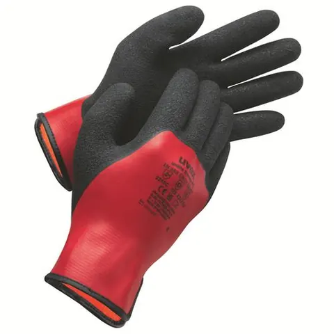 Uvex Unilite Thermo 60842 10