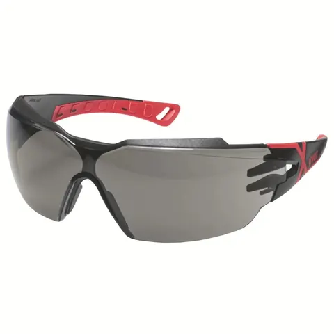 uvex pheos cx2 9198173 grijs, inf. 3.0 Veiligheidsbril