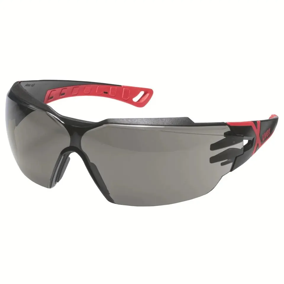 uvex pheos cx2 9198173 grijs, inf. 3.0 Veiligheidsbril